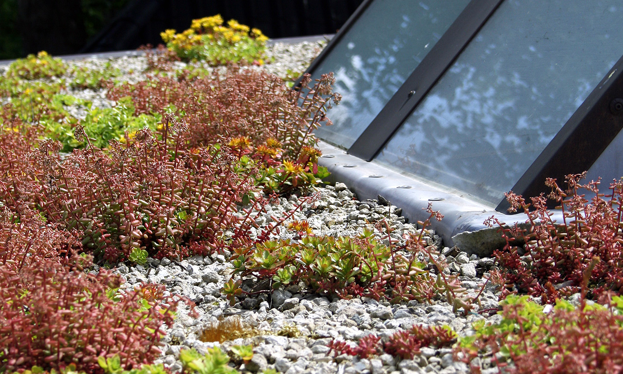 Kurtaj Dacharbeiten Details